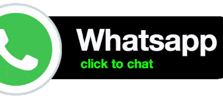 Goa Escort Service WhatsApp Chat